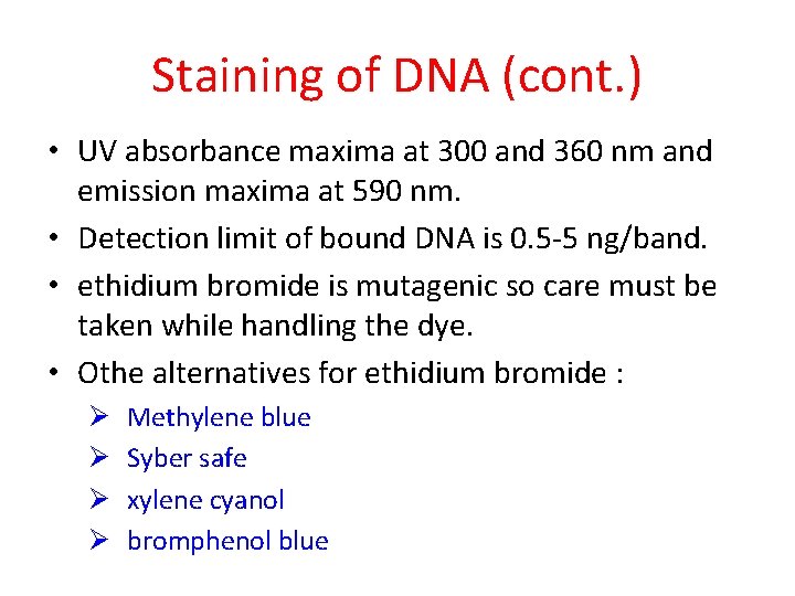 Staining of DNA (cont. ) • UV absorbance maxima at 300 and 360 nm