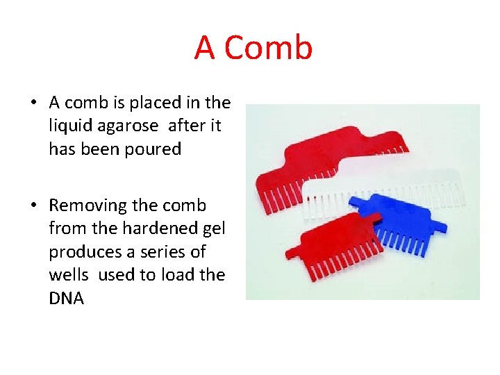 A Comb • A comb is placed in the liquid agarose after it has