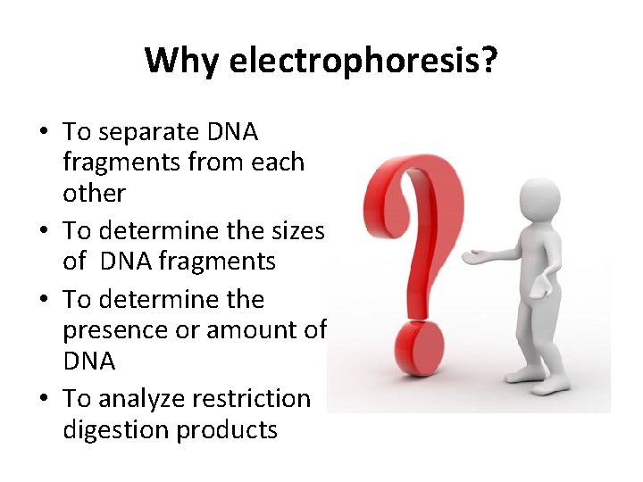 Why electrophoresis? • To separate DNA fragments from each other • To determine the