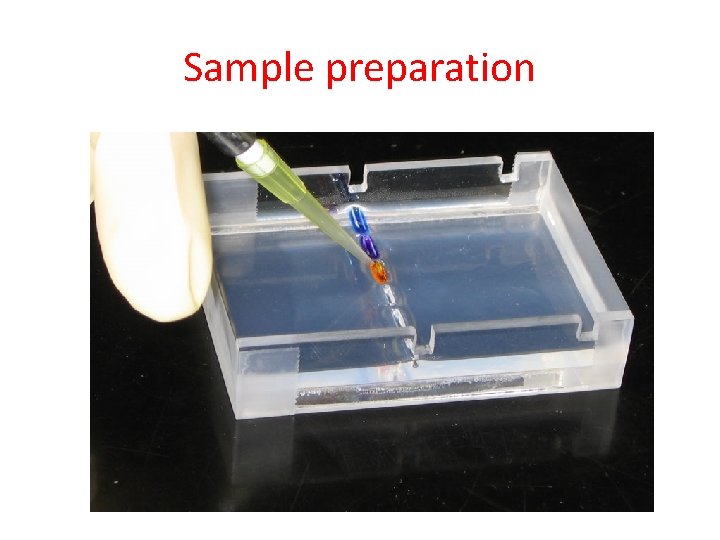 Sample preparation 