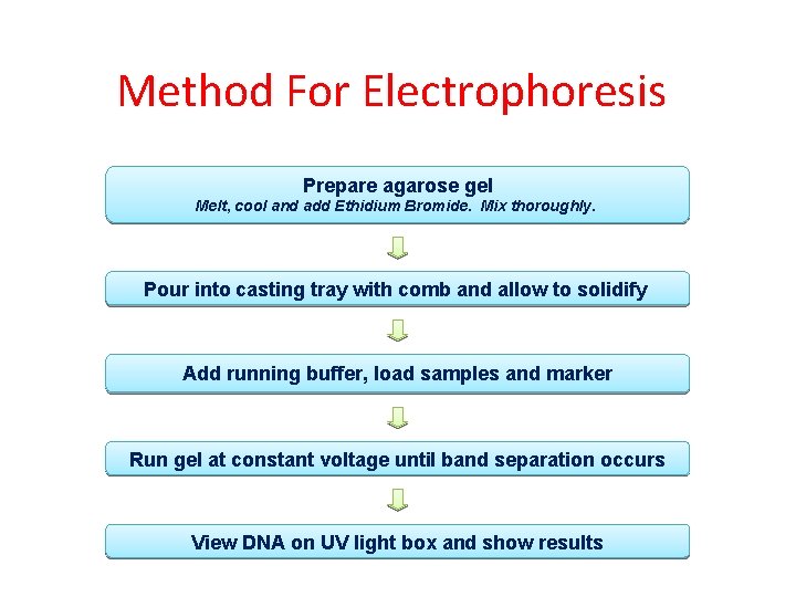 Method For Electrophoresis Prepare agarose gel Melt, cool and add Ethidium Bromide. Mix thoroughly.