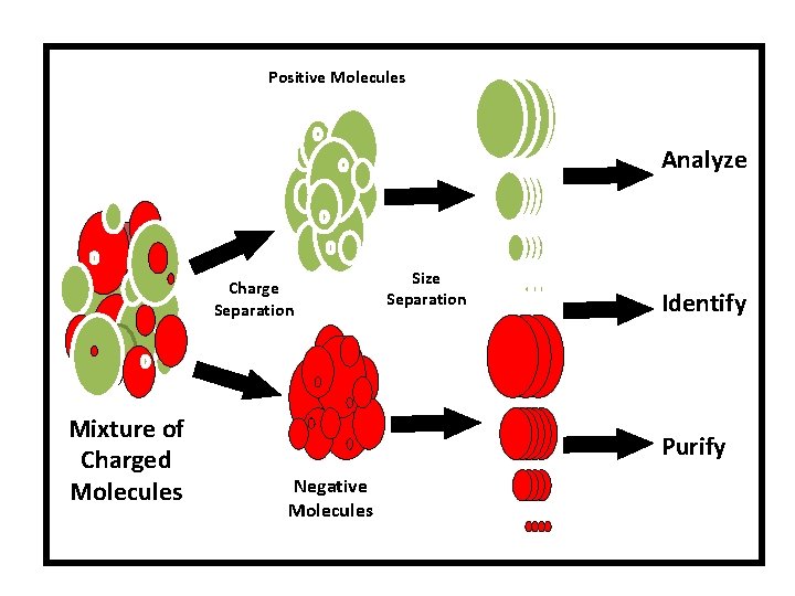 Positive Molecules Analyze Charge Separation Mixture of Charged Molecules Size Separation Identify Purify Negative