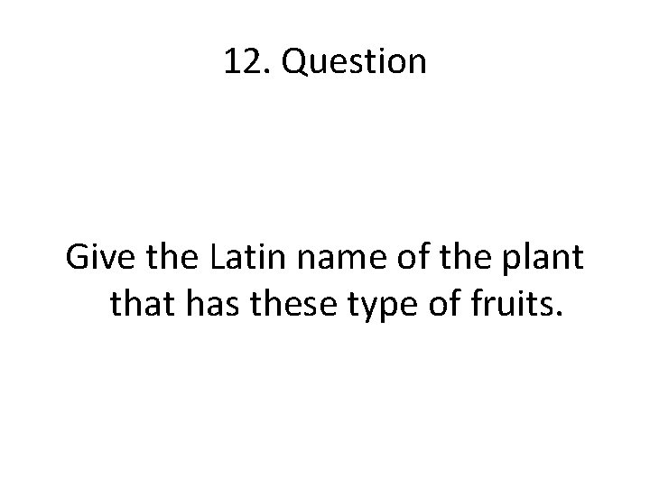 12. Question Give the Latin name of the plant that has these type of
