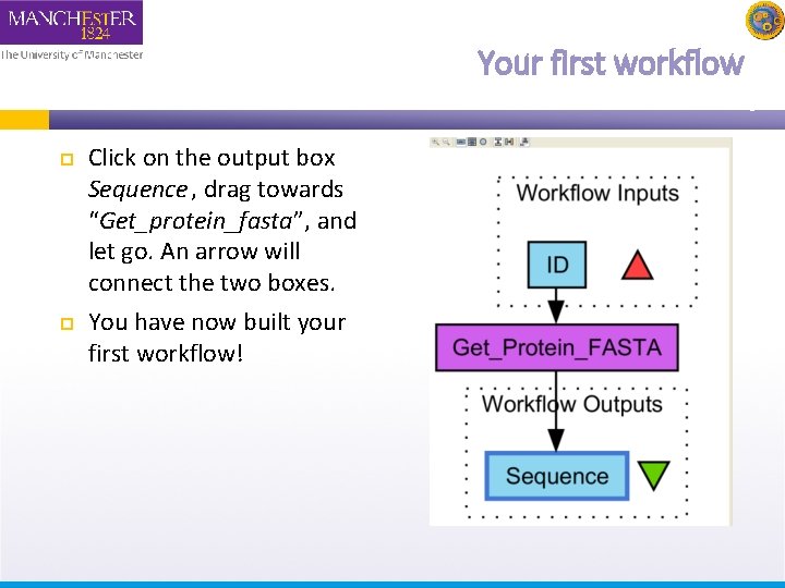 Your first workflow Click on the output box Sequence , drag towards “Get_protein_fasta”, and