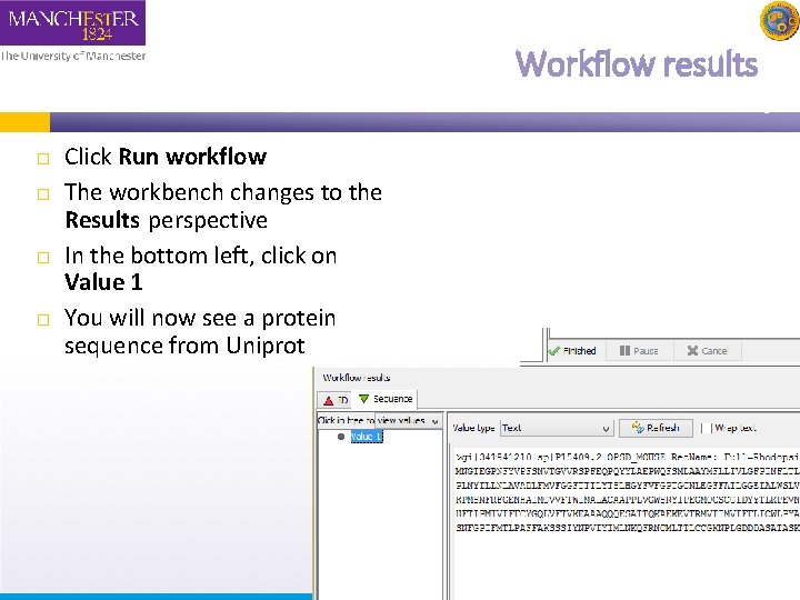 Workflow results Click Run workflow The workbench changes to the Results perspective In the