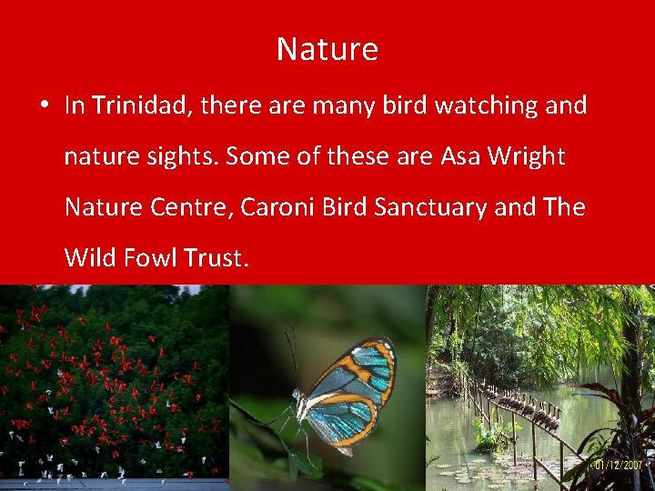 Nature • In Trinidad, there are many bird watching and nature sights. Some of