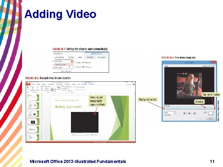 Adding Video Microsoft Office 2013 -Illustrated Fundamentals 11 