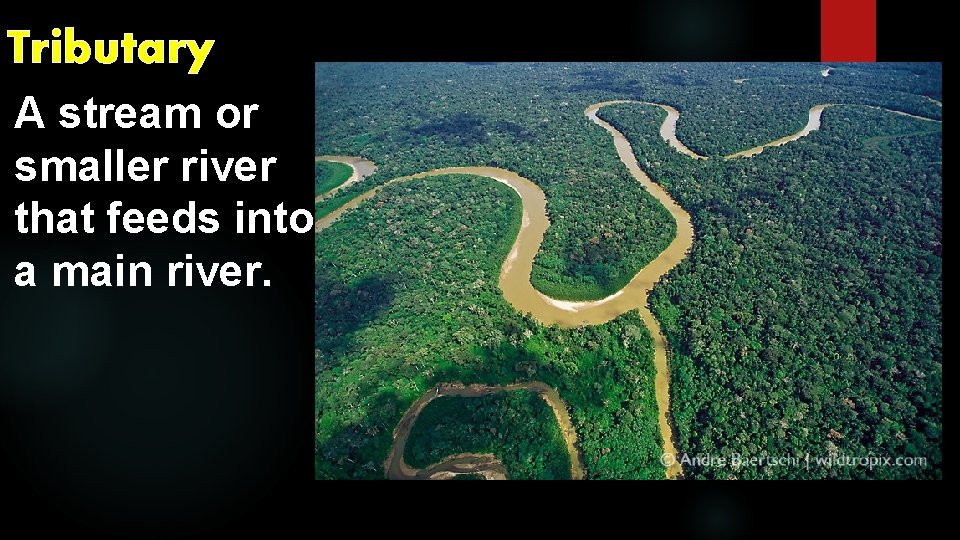 Tributary A stream or smaller river that feeds into a main river. 