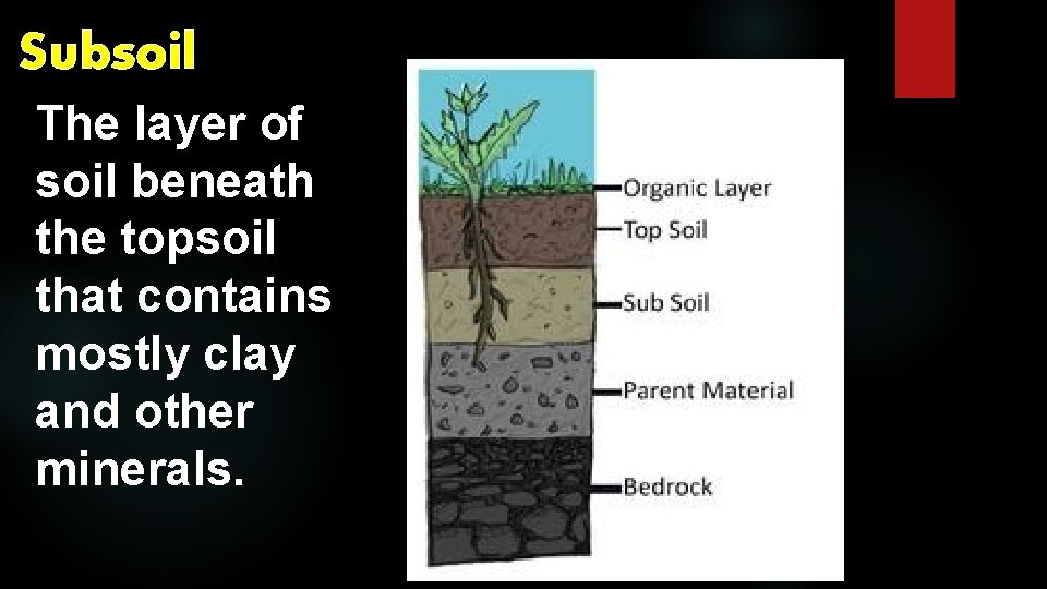 Subsoil The layer of soil beneath the topsoil that contains mostly clay and other