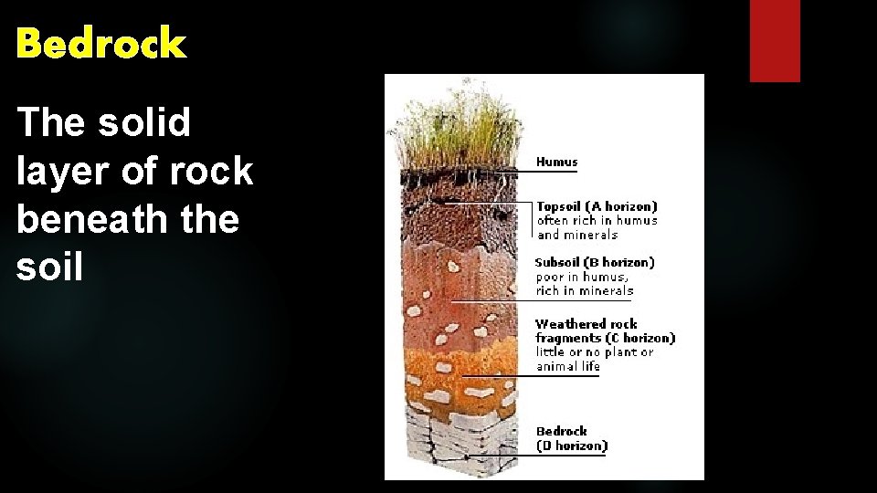 Bedrock The solid layer of rock beneath the soil 