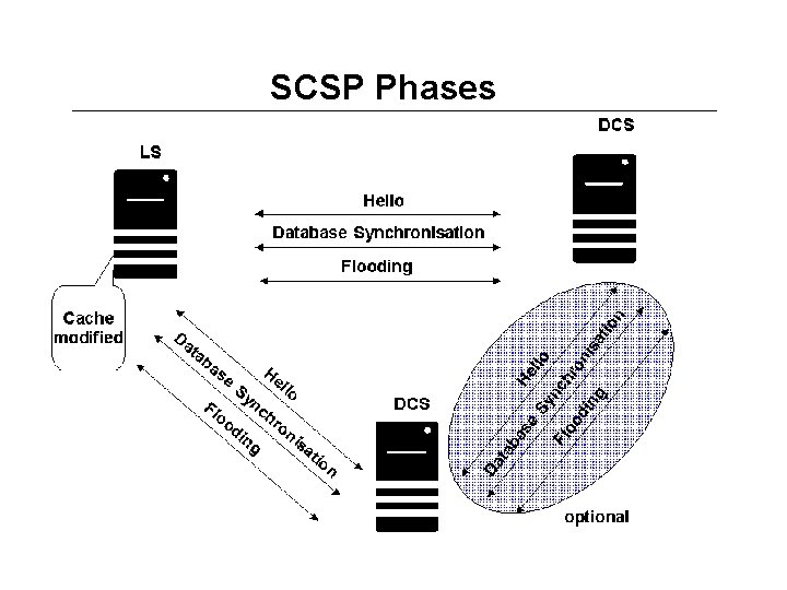 SCSP Phases 