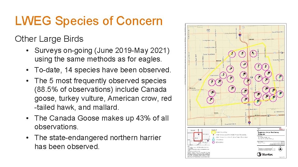 LWEG Species of Concern Other Large Birds • Surveys on-going (June 2019 -May 2021)