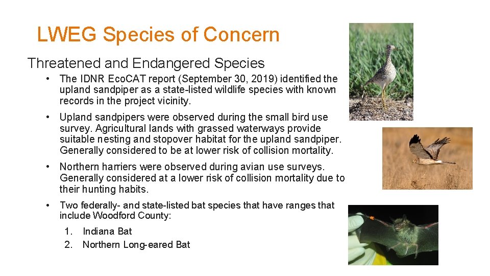 LWEG Species of Concern Threatened and Endangered Species • The IDNR Eco. CAT report