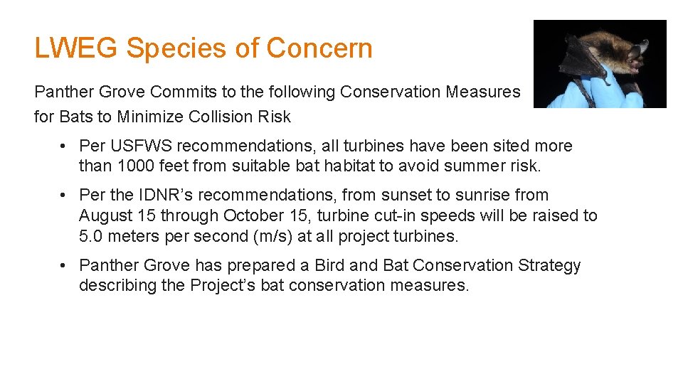 LWEG Species of Concern Panther Grove Commits to the following Conservation Measures for Bats