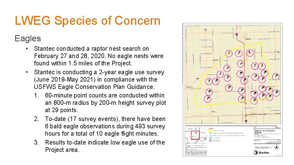 LWEG Species of Concern Eagles • Stantec conducted a raptor nest search on February