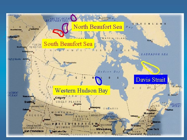 North Beaufort Sea South Beaufort Sea Davis Strait Western Hudson Bay 