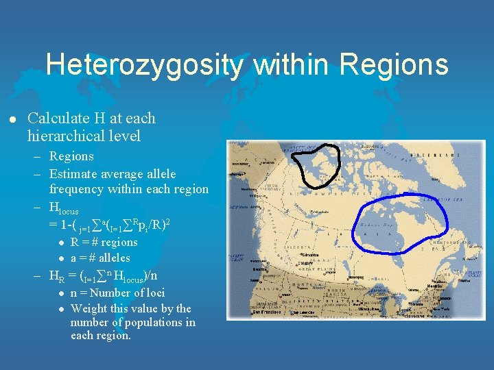 Heterozygosity within Regions l Calculate H at each hierarchical level – Regions – Estimate