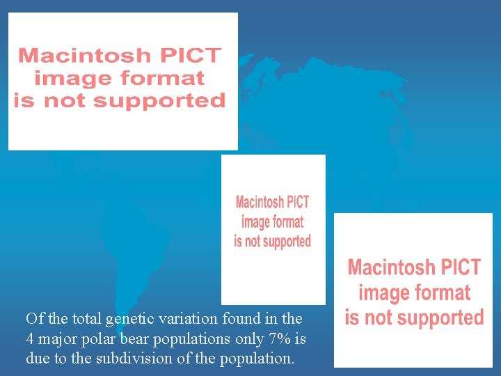 Of the total genetic variation found in the 4 major polar bear populations only