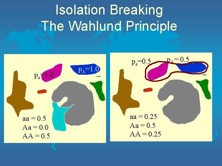 Isolation Breaking The Wahlund Principle pa=1. 0 aa = 0. 5 Aa = 0.