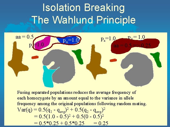 Isolation Breaking The Wahlund Principle aa = 0. 5 pa=1. 0 p. A= 1.
