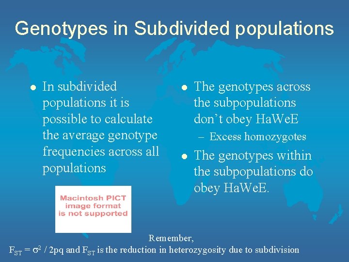 Genotypes in Subdivided populations l In subdivided populations it is possible to calculate the