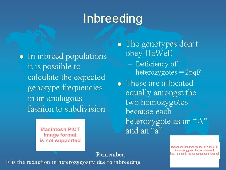 Inbreeding l l In inbreed populations it is possible to calculate the expected genotype