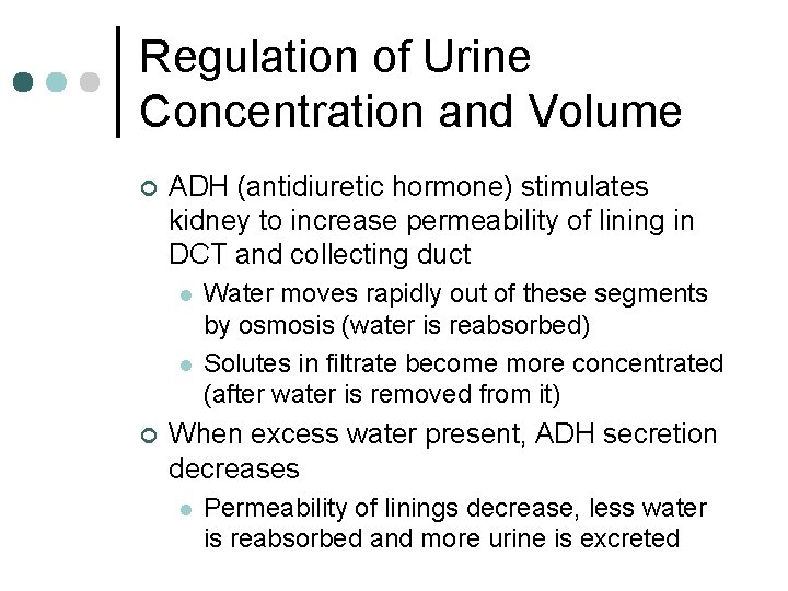 Regulation of Urine Concentration and Volume ¢ ADH (antidiuretic hormone) stimulates kidney to increase