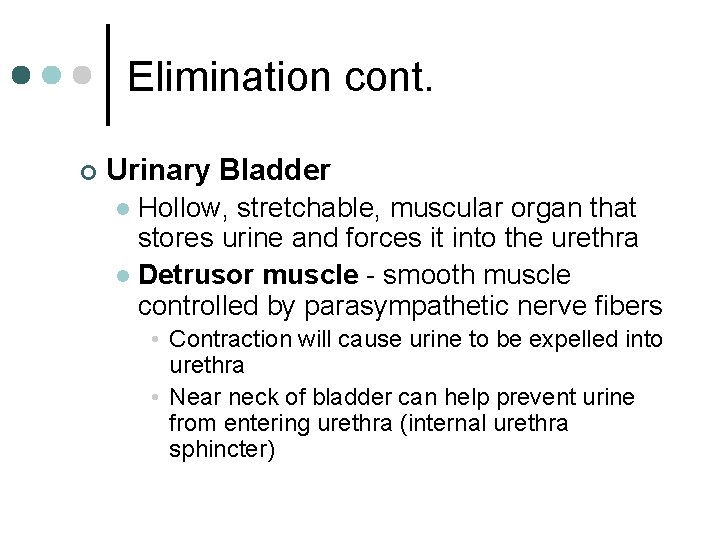 Elimination cont. ¢ Urinary Bladder Hollow, stretchable, muscular organ that stores urine and forces