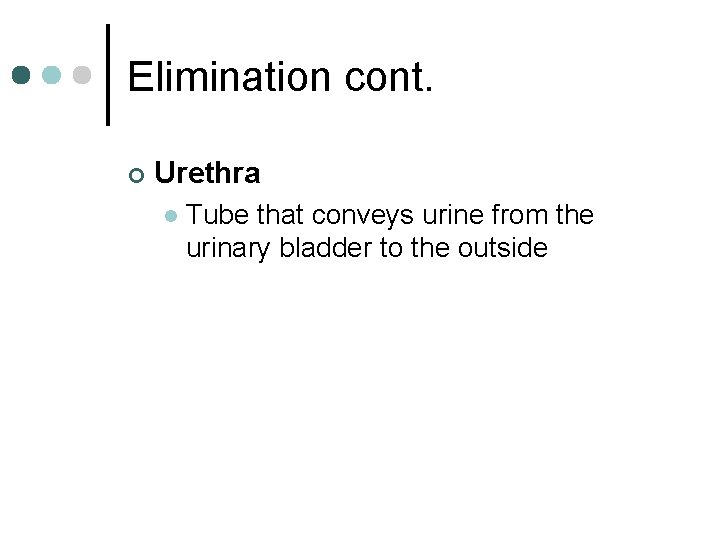 Elimination cont. ¢ Urethra l Tube that conveys urine from the urinary bladder to
