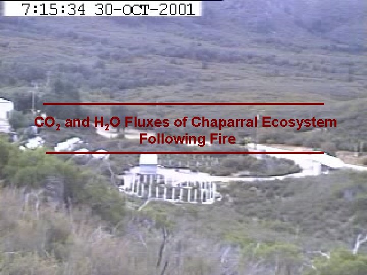 CO 2 and H 2 O Fluxes of Chaparral Ecosystem Following Fire 