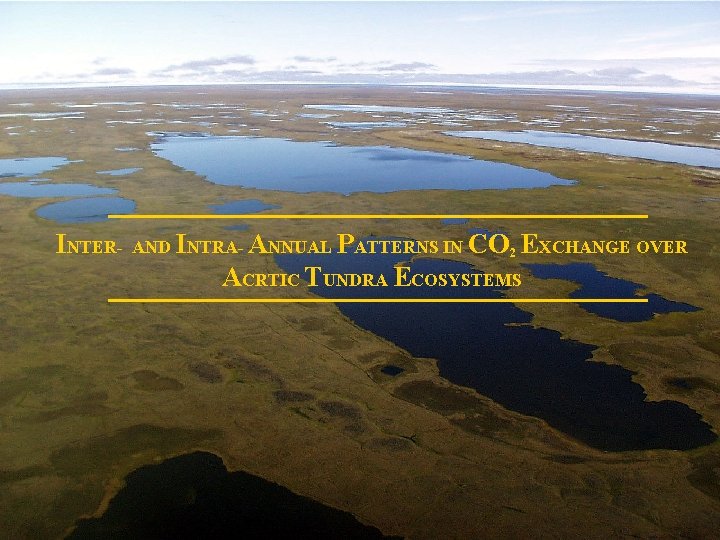 INTER- AND INTRA- ANNUAL PATTERNS IN CO 2 EXCHANGE OVER ACRTIC TUNDRA ECOSYSTEMS 