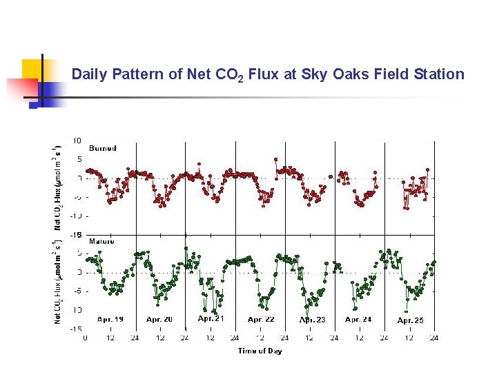 Daily Pattern of Net CO 2 Flux at Sky Oaks Field Station 