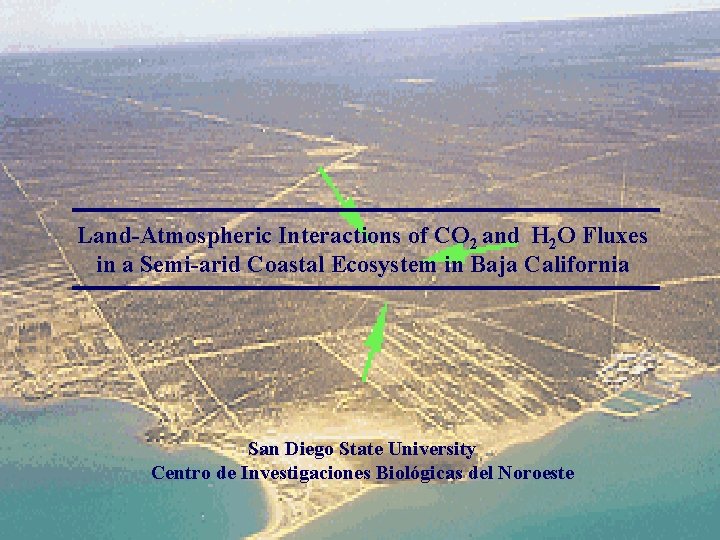 Land-Atmospheric Interactions of CO 2 and H 2 O Fluxes in a Semi-arid Coastal