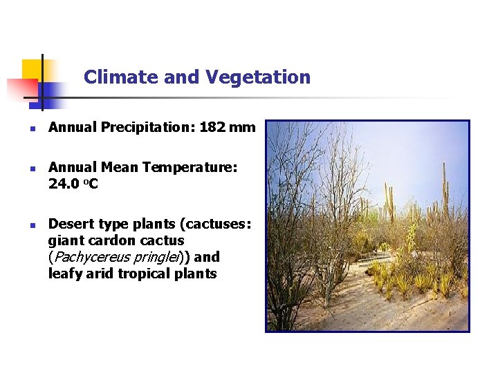 Climate and Vegetation n Annual Precipitation: 182 mm Annual Mean Temperature: 24. 0 o.