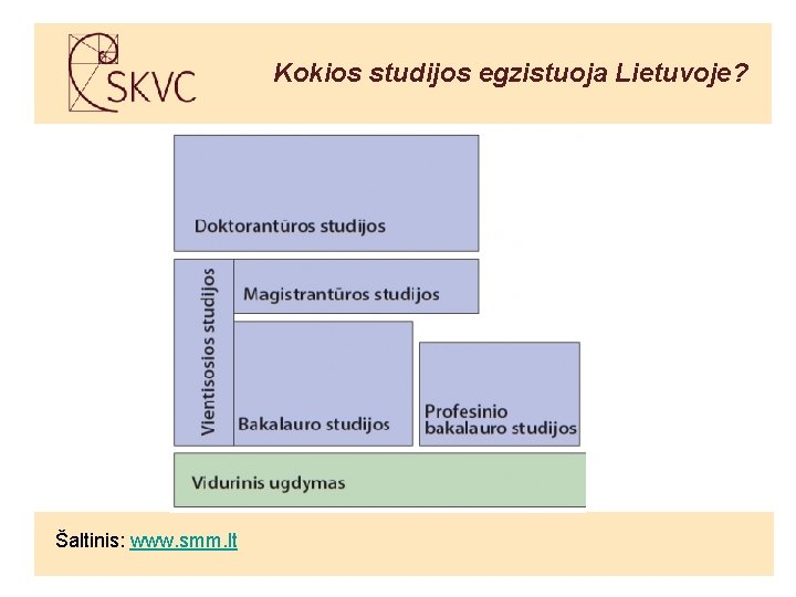 Kokios studijos egzistuoja Lietuvoje? Šaltinis: www. smm. lt 