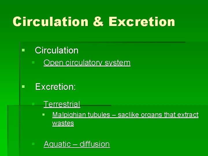 Circulation & Excretion § Circulation § Open circulatory system § Excretion: § Terrestrial §