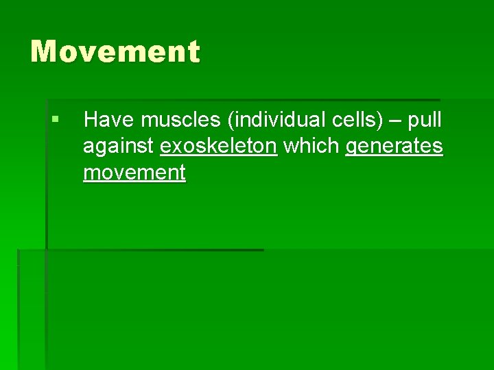 Movement § Have muscles (individual cells) – pull against exoskeleton which generates movement 