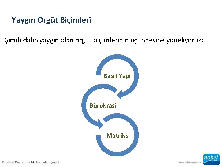 Yaygın Örgüt Biçimleri Şimdi daha yaygın olan örgüt biçimlerinin üç tanesine yöneliyoruz: Basit Yapı