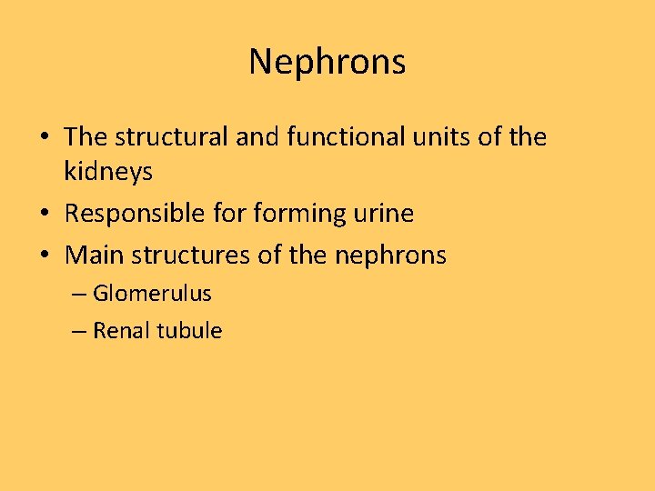 Nephrons • The structural and functional units of the kidneys • Responsible forming urine
