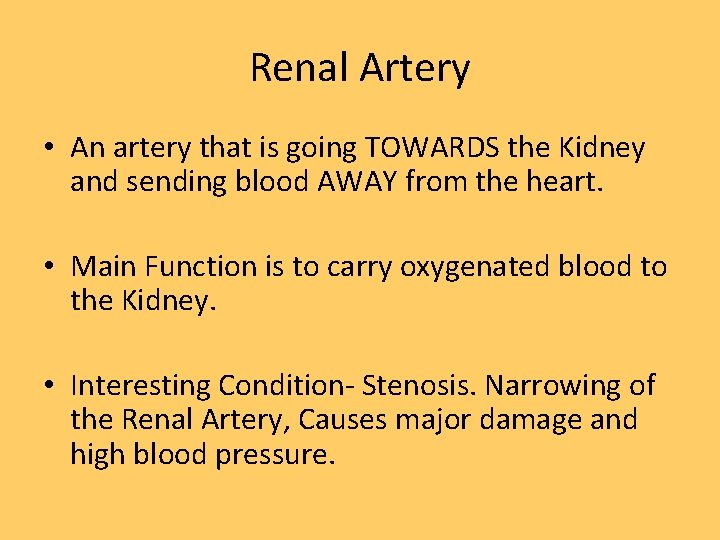 Renal Artery • An artery that is going TOWARDS the Kidney and sending blood