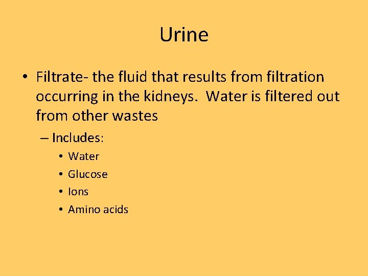 Urine • Filtrate- the fluid that results from filtration occurring in the kidneys. Water