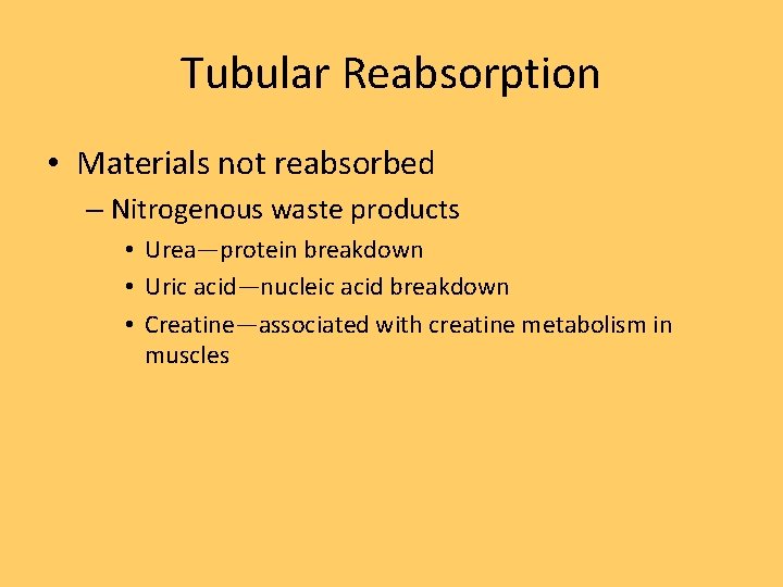 Tubular Reabsorption • Materials not reabsorbed – Nitrogenous waste products • Urea—protein breakdown •