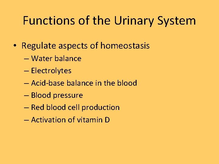 Functions of the Urinary System • Regulate aspects of homeostasis – Water balance –