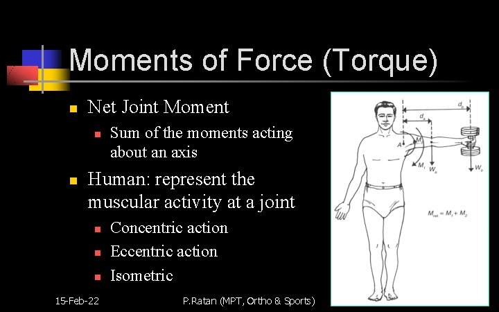 Moments of Force (Torque) n Net Joint Moment n n Sum of the moments