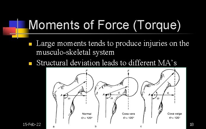 Moments of Force (Torque) n n Large moments tends to produce injuries on the