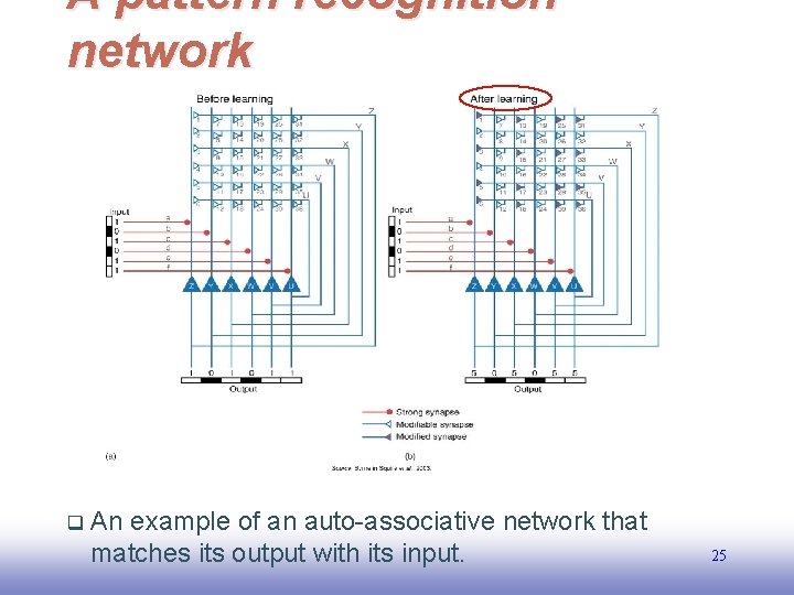 A pattern recognition network q EE 141 An example of an auto-associative network that