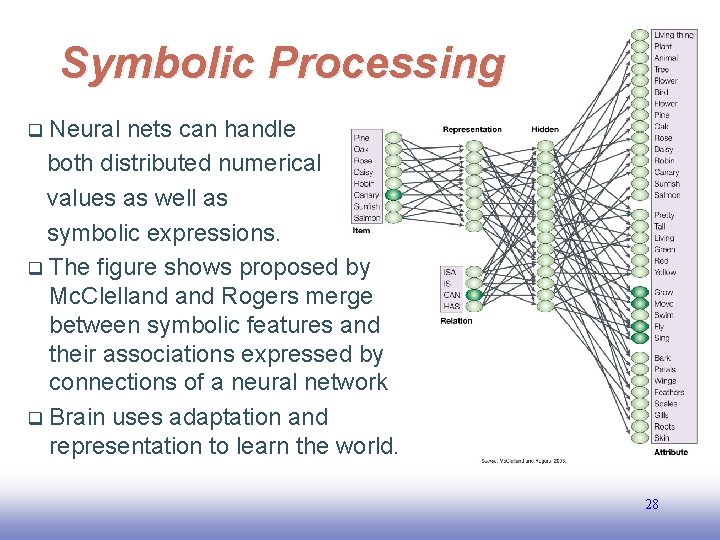 Symbolic Processing Neural nets can handle both distributed numerical values as well as symbolic