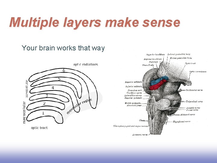 Multiple layers make sense Your brain works that way EE 141 