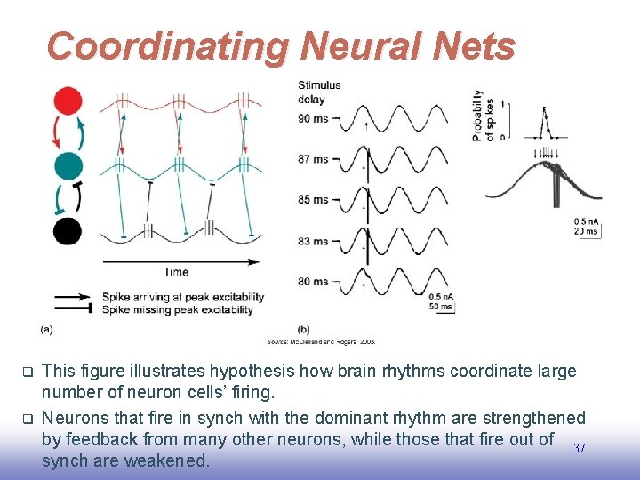 Coordinating Neural Nets This figure illustrates hypothesis how brain rhythms coordinate large number of