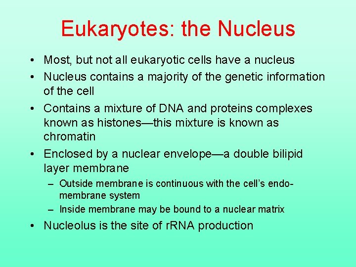 Eukaryotes: the Nucleus • Most, but not all eukaryotic cells have a nucleus •